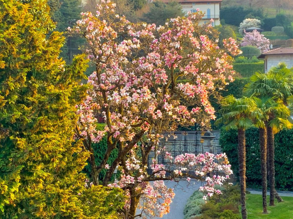 Villa Morosini بيلاجيو المظهر الخارجي الصورة